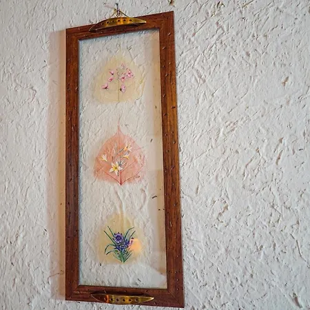 Hotel Biber Evi Assos