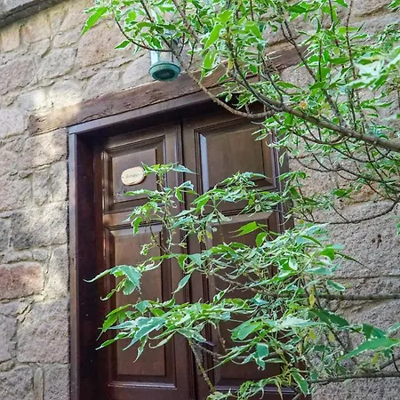 Biber Evi Assos *